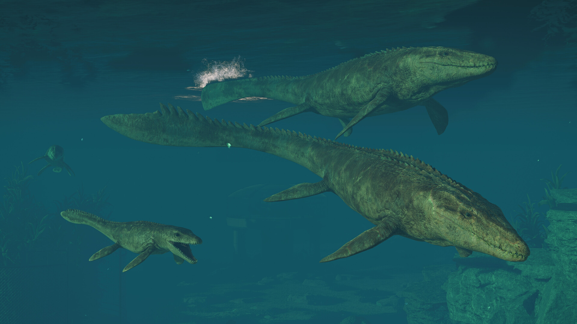 684570c913c3aa2af158d632_4df93a9a2deafaab5c26db143c1b089d-7