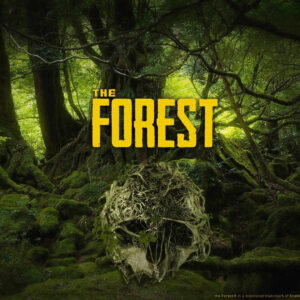 The Forest – PC Steam (Global)