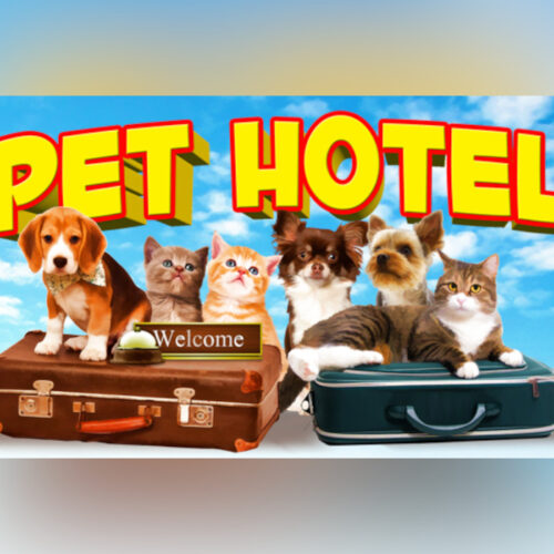 My Pet Hotel – PC Steam (Global)