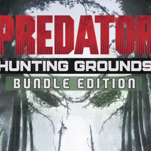 Predator: Hunting Grounds Predator Bundle Edition – PC Steam (Global)