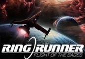Ring Runner: Flight of the Sages Gift – PC Steam (Global)