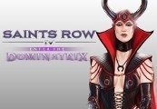 Saints IV Enter the Dominatrix – PC Steam (Global)