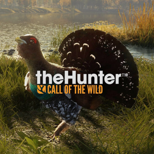 theHunter: Call of the Wild Revontuli Coast – PC Steam (Europe)