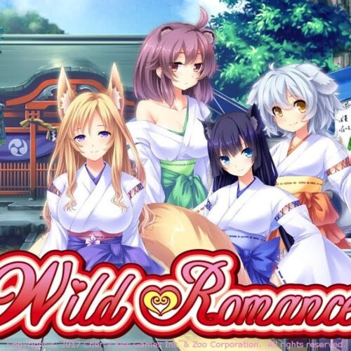 Wild Romance – PC Steam (Global)